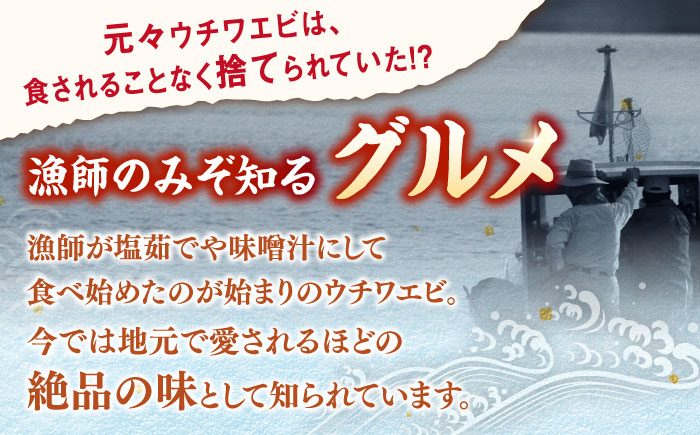 ウチワエビ しゃぶしゃぶ A(刺身200g 半身400g ポン酢80ml)【ひばり】[KAA059]/ 長崎 平戸 魚介類 海老 エビ ウチワエビ 季節限定 ご当地 グルメ 刺身 しゃぶしゃぶ