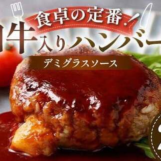 食卓の定番！和牛入りハンバーグ ～デミグラスソース～ 20個 豚肉 和牛 定番 特製デミ コク深 濃厚 手軽 下ごしらえ不要 メインディッシュ お子さま 大人 焼く 煮込む お歳暮 お中元 F6T-5