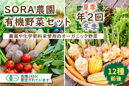 【オーガニック野菜／有機野菜 定期便】SORA農園有機野菜セット年2回 定期便 （夏季・冬季）お届け 野菜 オーガニック野菜 有機野菜 野菜 セット 野菜 詰め合わせ 定期便 野菜 定期便 冬野菜 夏野菜 旬野菜 新鮮 野菜 