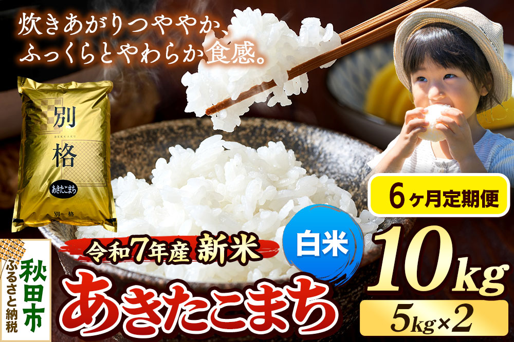 《令和7年産 新米》《定期便6ヶ月》 米 あきたこまち 10kg（5kg×2袋） 【白米】 秋田県産