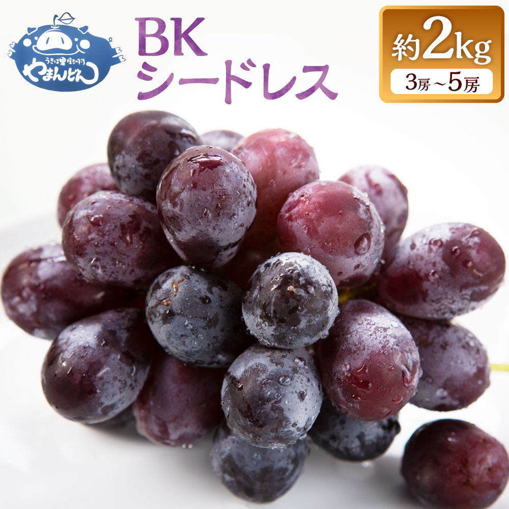 【ふるさと納税】【先行予約】やまんどん BKシードレス 3房から5房 （約2kg） 【2026年8月下旬～9月上旬より順次発送予定】 ぶどう ブドウ 葡萄 フルーツ 果物 果実 冷蔵 送料無料 福岡県 うきは市