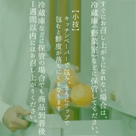 【2026年発送先行受付】いすみ市産あきづき梨　約5kg(11～12個)_果物・フルーツ 和梨 梨 わなし ワナシ_【1462342】
