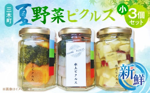 新鮮！三木町夏野菜ピクルス　小(140g)3個セット | ピクルス 野菜 夏野菜 果物 フルーツ 漬物 お漬物 和風 洋風 デザート 酢たれ たれ ドレッシング 旬 季節 旬の野菜 季節の野菜 氷上ピクルス ひかみぴくるす おかず おすすめ 人気 香川県 三木町 |_mk163-001