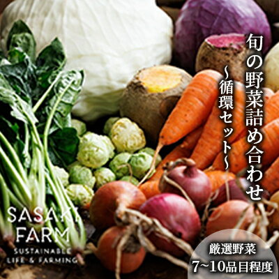 【ふるさと納税】〈自然栽培〉佐々木ファーム 旬の野菜詰め合わせ ～循環セット～ 厳選野菜7-10品目程度 2026年3月よりお届け やさい 直送 北海道 洞爺湖町 野菜の詰め合わせ 北海道産 北海道産野菜 　お届け：2026年3月1日～11月30日まで