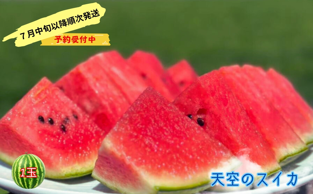 【予約受付中・7月中旬以降順次発送】 天空のスイカ 【数量限定】 すいか 西瓜 小玉スイカ 栽培期間中農薬不使用　鳴門　 甘い 小玉 果物  フルーツ ギフト 人気商品  敬老の日 　スイカ　スイカ　スイカ