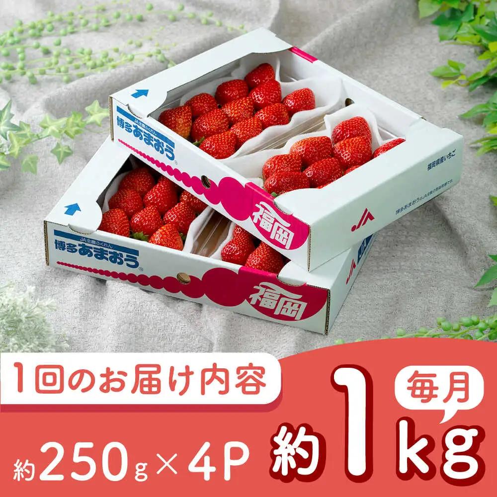 【全2回定期便】福岡産 春あまおう 250g×4P BGAG051 あまおう
