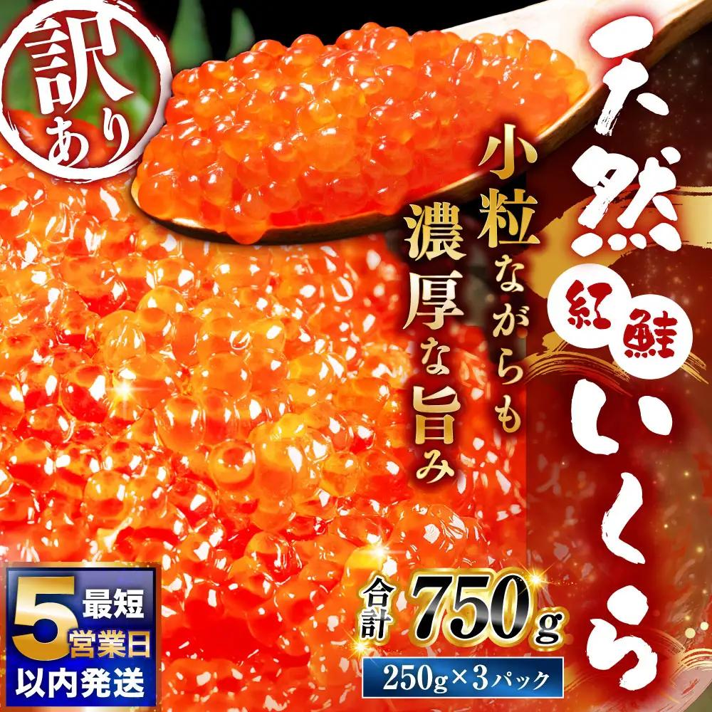 【ふるなびWEEK対象】【 5営業日以内発送 】 紅鮭いくら醤油漬け 750g （ 250g × 3 ） いくら イクラ 海鮮 天然紅鮭 魚卵 卵 イクラ丼 いくら丼 手巻き寿司 小粒 魚介類 魚介 寿司 丼 冷凍 旨味