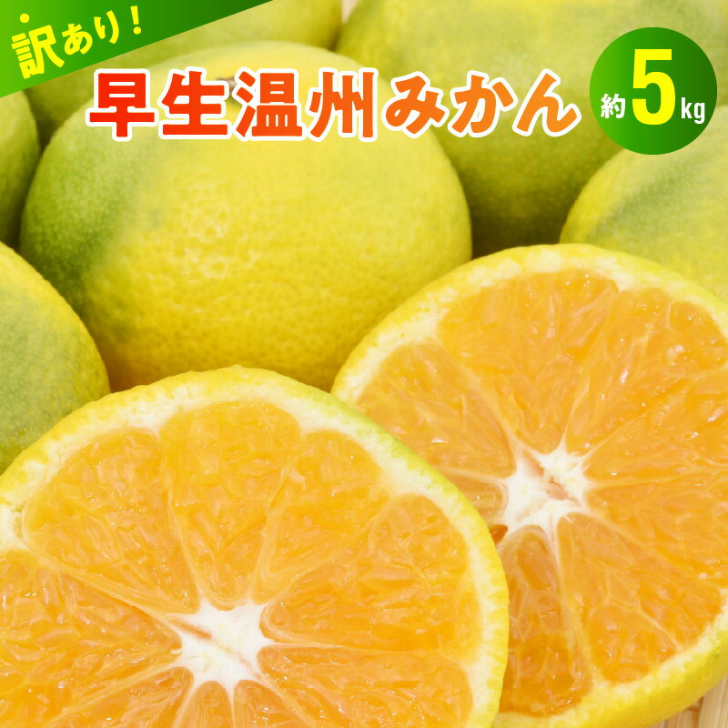 【ふるさと納税】訳あり 柑橘 早生 温州みかん 約 5kg みかん 甘い 果物 フルーツ デザート おやつ 果実 国産 安全 安心 常温 食品 食べ物 村田果樹園 お取り寄せ お取り寄せスイーツ 送料無料【熊本県宇土市】