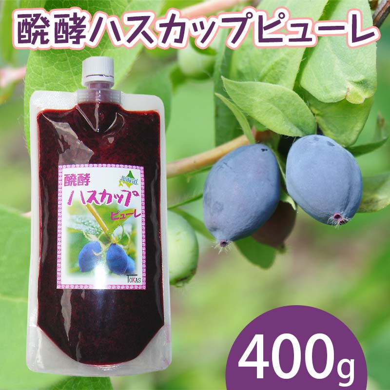 【ふるさと納税】醗酵ハスカップピューレ 400g EB8-0376