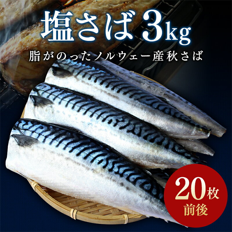 【ふるさと納税】 鯖 ご家庭用 塩さばフィレ 3kg(約20枚前後） / さば サバ おかず 切り身 切身 焼き魚 甘塩 冷凍 お弁当 和歌山県 田辺市