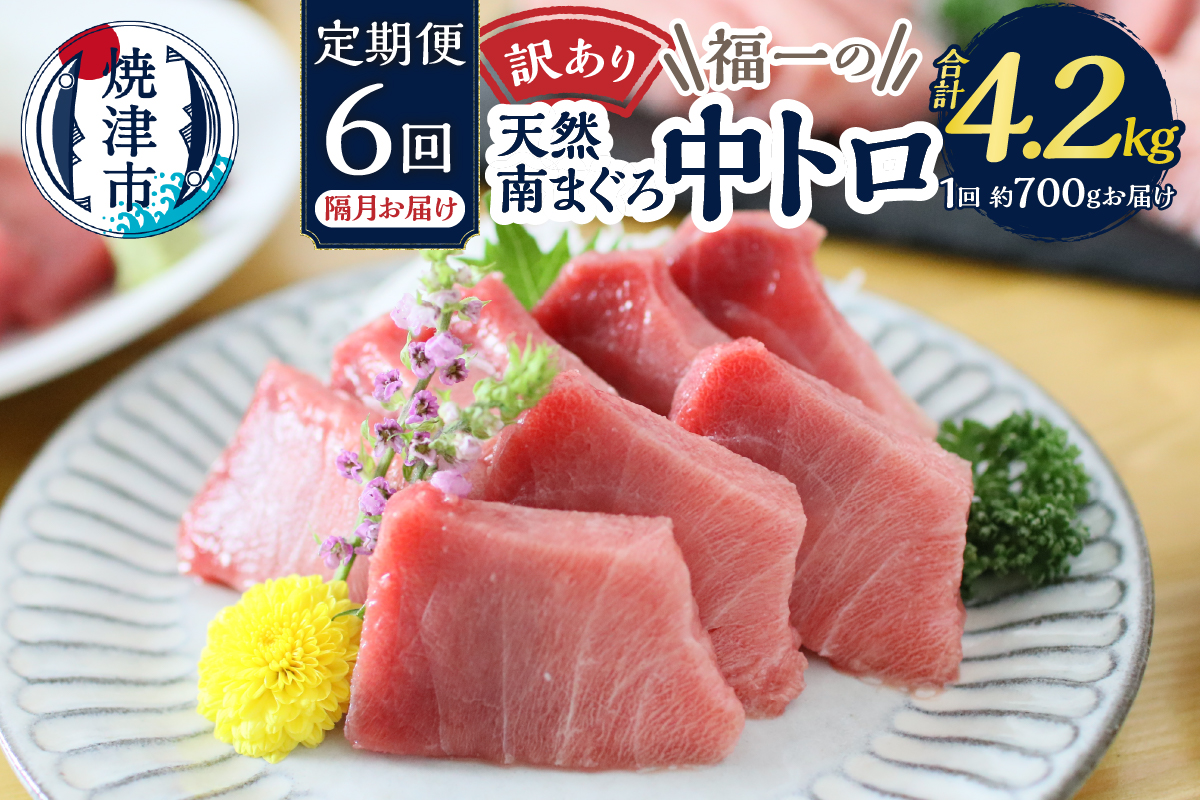 a90-014　訳あり【定期便 6回隔月でお届け】南鮪・刺身・中トロ(約700g)