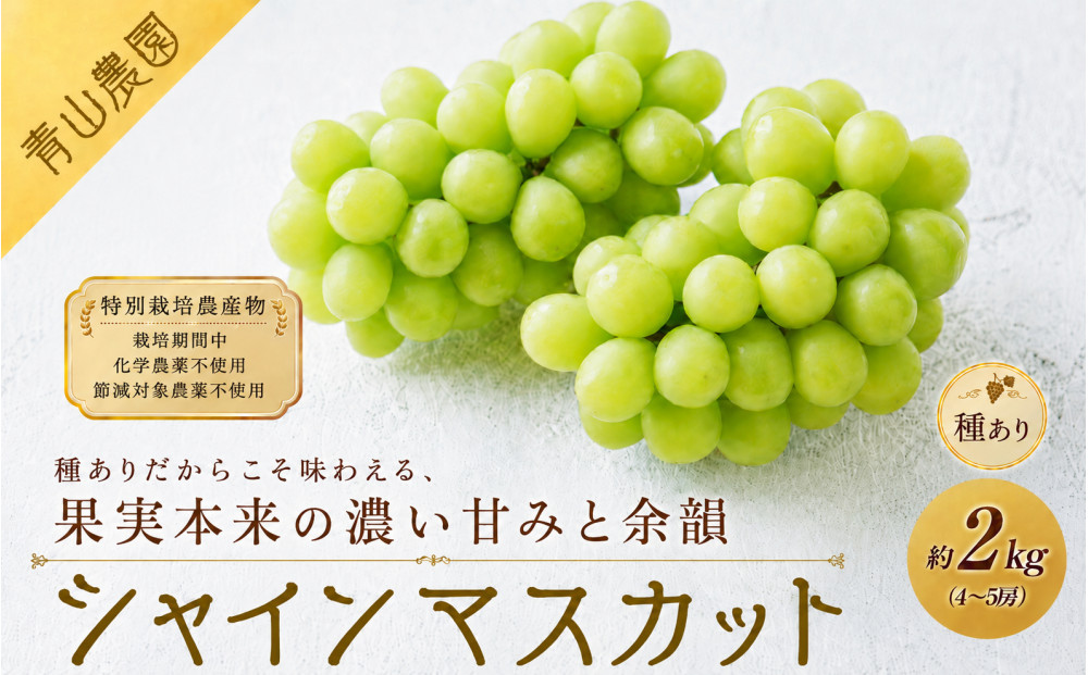 【先行予約】【数量限定】種ありシャインマスカット 約2kg（4〜5房）｜特別栽培農産物〔2026年8月上旬より順次発送〕 232238_CU004