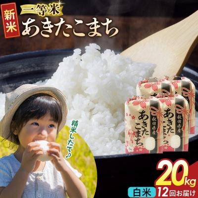 ふるさと納税 大仙市 定期12ヶ月 白米 あきたこまち 一等米 20kg 秋田県 R8年|22_kml-012012s | 