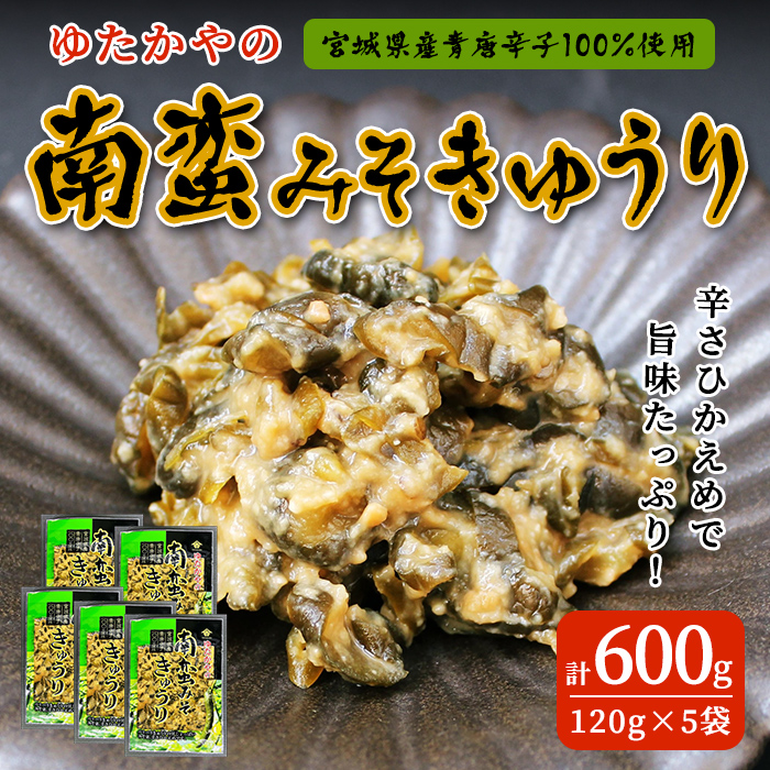 ゆたかやの 南蛮みそ きゅうり漬け 120g×5袋 牛タンのお供に 青唐辛子 青とうがらし 南蛮 味噌漬け なんばん味噌 漬物 きゅうり おつまみ おかず 【豊屋食品工業株式会社】sh195