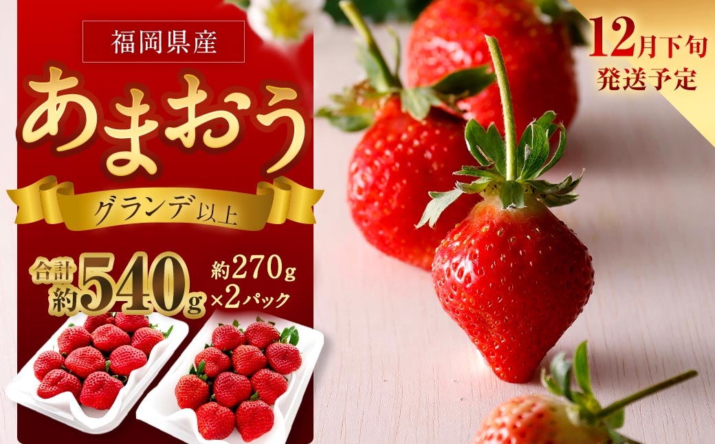 
                  福岡県産苺 「 あまおう 」 グランデ以上 270g × 2パック 計540g いちご イチゴ 苺 果物 くだもの 果実 フルーツ 果肉 いちごの王様 国産 福岡県産 【 2026年12月下旬発送予定 】
                