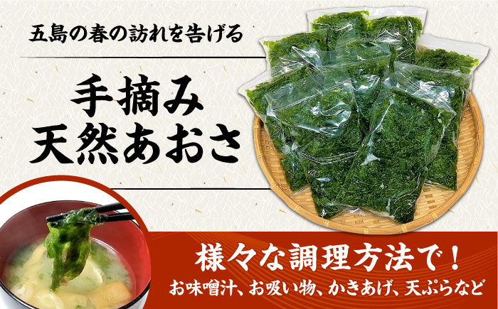 【旬の採れたて生あおさ】冷凍 天然 あおさ 約36g×10袋 五島市/金沢鮮魚 [PEP004]