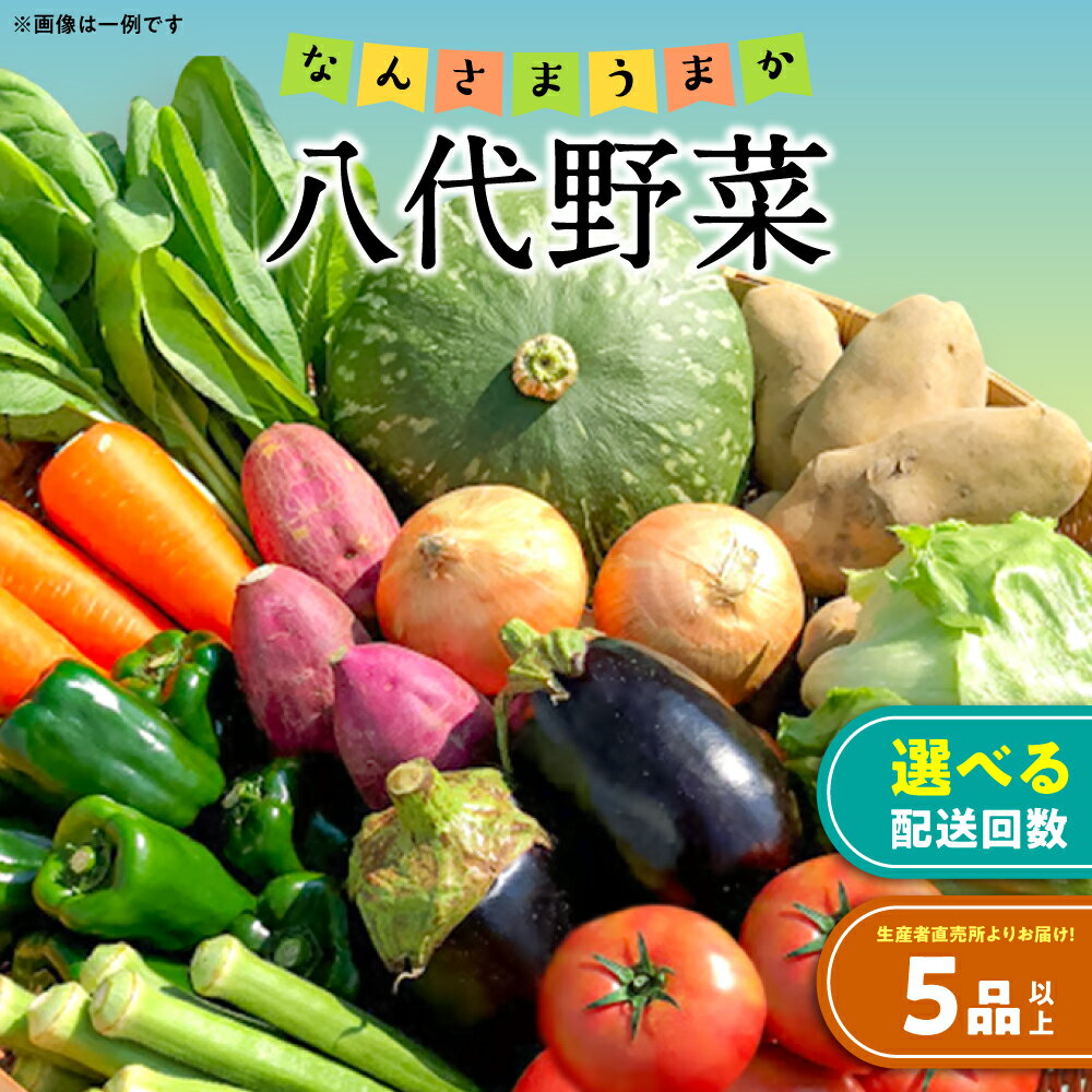 【ふるさと納税】【選べる発送回数】なんさまうまか 八代野菜セット 5品以上 野菜 やさい 詰め合わせ 旬の野菜 新鮮 朝採れ 八代よかとこ物産館 国産 九州産 熊本県産 季節のお野菜 おまかせ野菜 新鮮野菜 送料無料