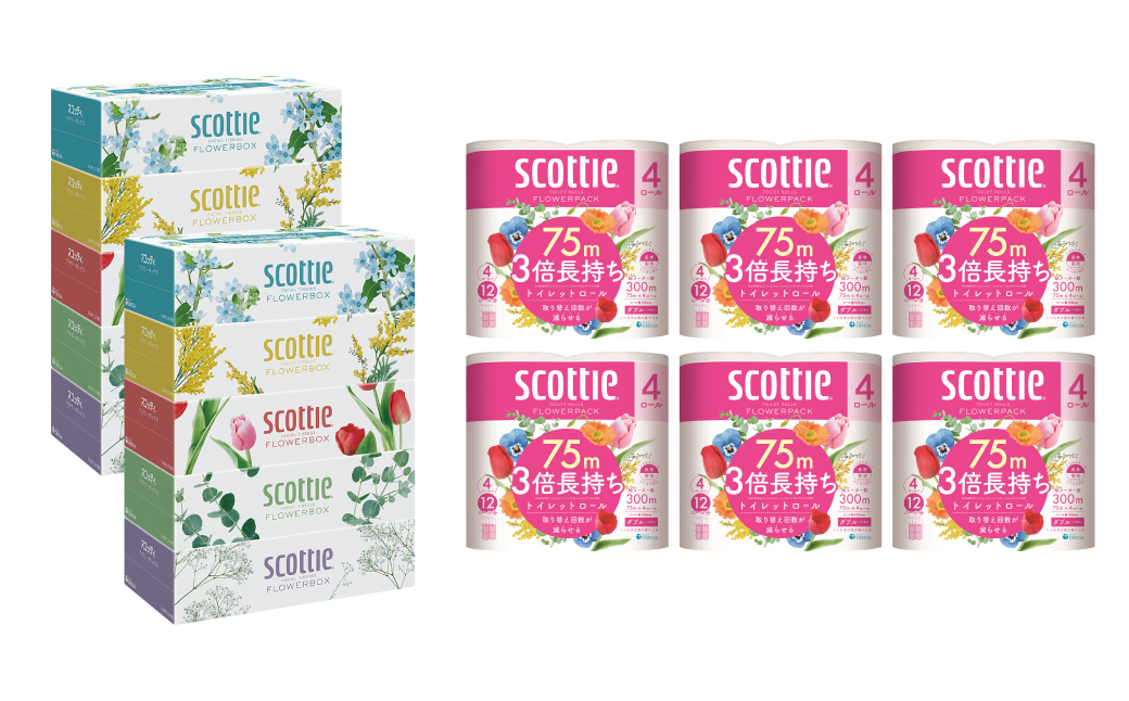 【定期便6回】【毎月お届け】【スコッティ】 ティシュー フラワーボックス 250組（5箱パック×2セット）＋フラワーパック 3倍長持ち（4ロール（ダブル）パック ×6セット） ティッシュ トイレットペーパー 日用品 ストック