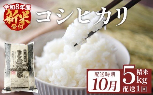 【10月配送】 ＜ 先行予約 ＞ 米 令和8年産 コシヒカリ 精米 5kg 単品 新米 こめ コメ お米 ご飯 白米 こしひかり