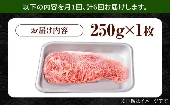 【6回定期便】佐賀県産 黒毛和牛 贅沢ロースステーキ 250g×1枚【株式会社いろは精肉店】 [IAG085]