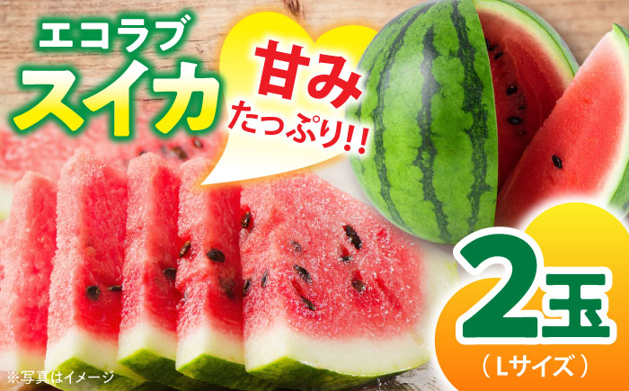 【先行予約】【6月上旬から順次配送】愛情つまったエコラブスイカ（Lサイズ）2玉　愛媛県大洲市/沢井青果有限会社 [AGBN010]スイカ 夏 すいか 西瓜 かき氷 スイカジュース 甘い フルーツ 果物 フルーツポンチ デザート
