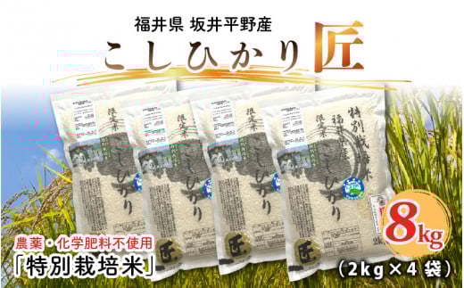 【令和7年産・新米】特別栽培米 コシヒカリ匠 8kg (2kg × 4袋)（玄米） 栽培期間中農薬不使用 / コシヒカリ こしひかり 白米 玄米 お米  [D-2932_02]