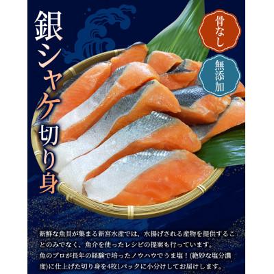 ふるさと納税 古座川町 骨なし 無添加 銀シャケ 切身 50g × 16枚 (4枚入り4セット)