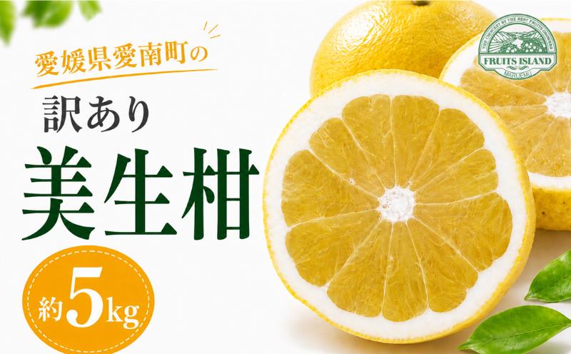 
                  訳あり 美生柑 みしょうかん 約 5kg 河内晩柑 不揃い サイズミックス 傷あり ばんかん フルーツ 果物 くだもの 文旦 晩生柑 厳選 愛媛 みかん 蜜柑 mikan 愛南 ご当地 ブランド 国産 産地 直送 ゼリー マーマレード デザート フルーツアイランド マルエム直販 愛媛県 愛南町
                