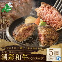 【ふるさと納税】野付産 【潮彩和牛】ハンバーグ100g×5個 （ ふるさと納税 訳あり 冷凍ハンバーグ ふるさと納税 ハンバーグ 訳あり ふるさと納税 はんばーぐ ふるさと納税 牛肉 ハンバーグ 牛 牛100% 牛はんばーぐ 惣菜 おそうざい 冷凍 肉 ハンバーグ 黒毛 ）