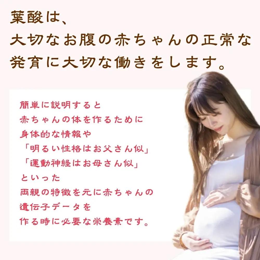 先行予約  いちご 雪国完熟越後姫 約170g×4P 苺 イチゴ フルーツ 完熟 越後 新潟 苺の花ことば