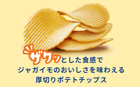 【定期便4カ月】ザ厚切りのための うすしお味 24袋 2箱 カルビー ポテトチップス 《千歳工場製造》