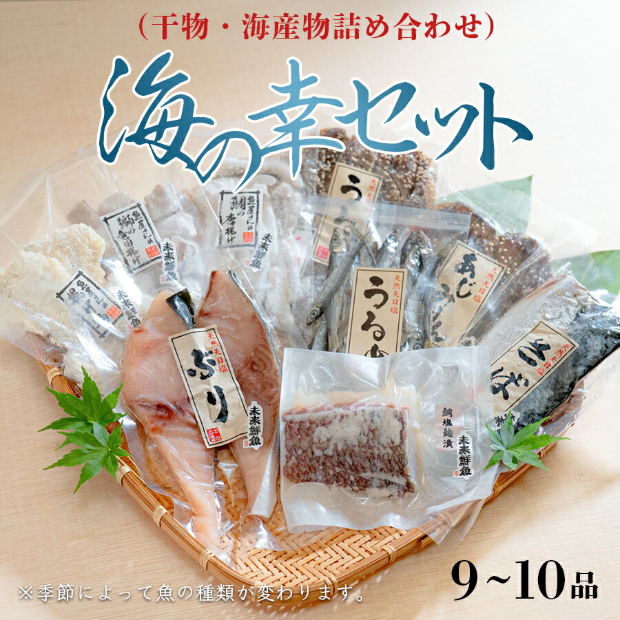 【ふるさと納税】海の幸セット(干物・海産物詰め合わせ)　9～10品