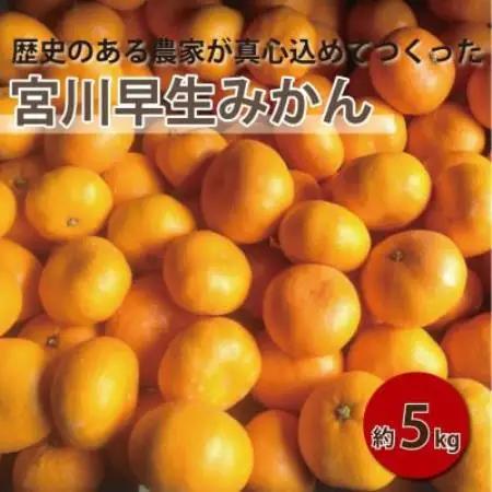 【2027年1月順次発送!】100年以上続くみかん農家がつくる「みかん(宮川早生)」約5kg【配送不可地域：離島】【1738394】