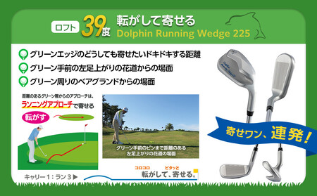 ゴルフクラブ ドルフィンウェッジ DW-225 メンズ スチールシャフト  ロフト角39° キャスコ kasco