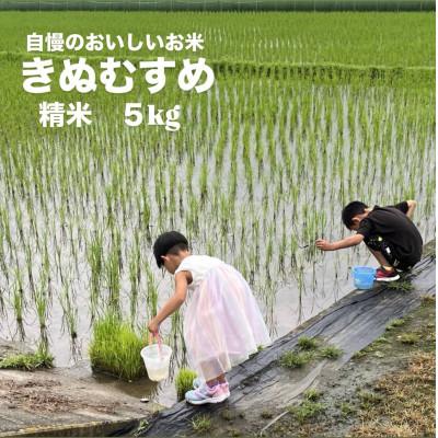 ふるさと納税 岡山市 【令和7年産】岡山県産 きぬむすめ 精米 5kg(5kg×1袋)　