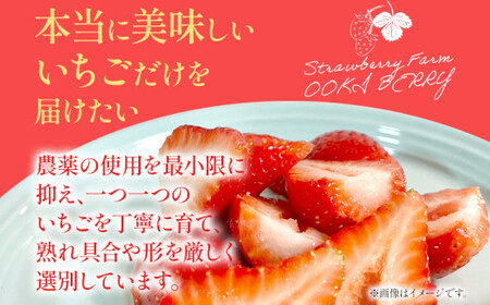 【訳あり品】あまおう（小玉）、4パック（330g/パック）