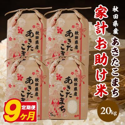 ふるさと納税 八郎潟町 【毎月定期便】あきたこまち 家計お助け米 20kg(5kg×4袋)【白米】 秋田県産全9回