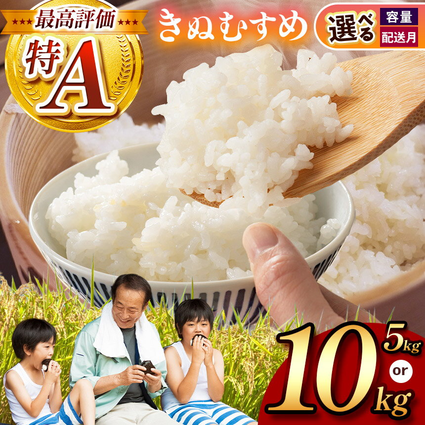 【ふるさと納税】 令和7年度産 新米 きぬむすめ ( 白米 5kg ～ 10kg ) 先行予約 ＜ 2025年 10月中旬 ～ 11月 より順次発送予定 ＞ ｜ 米 精米 新米 白米 米 お米 コメ 単一米 きぬむすめ 選べる発送月 選べる 山口 美祢 5kg 10kg とよたファーム