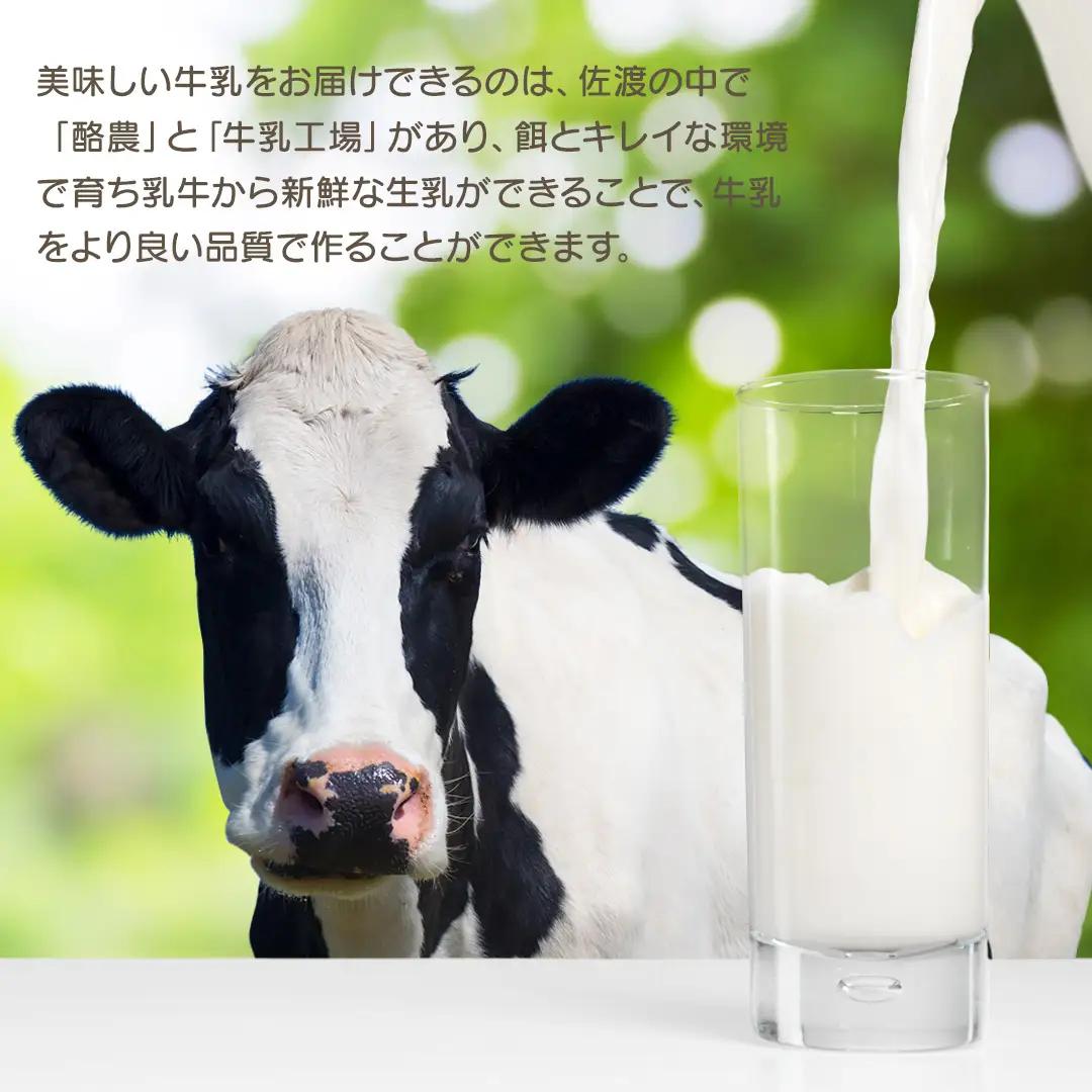 クッキー 6個入 3箱 | 焼菓子 新潟県 佐渡市 クッキー