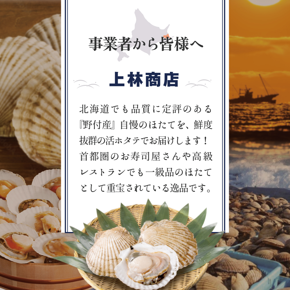 【先行予約】特大活ほたて ３kg相当 7〜14枚入り＜朝どり新鮮出荷!＞( ふるさと納税 ほたて 大玉 生食 活きほたて 生ホタテ 生帆立 生ホタテ貝柱 帆立貝柱 天然 冷蔵 刺身用 生 )