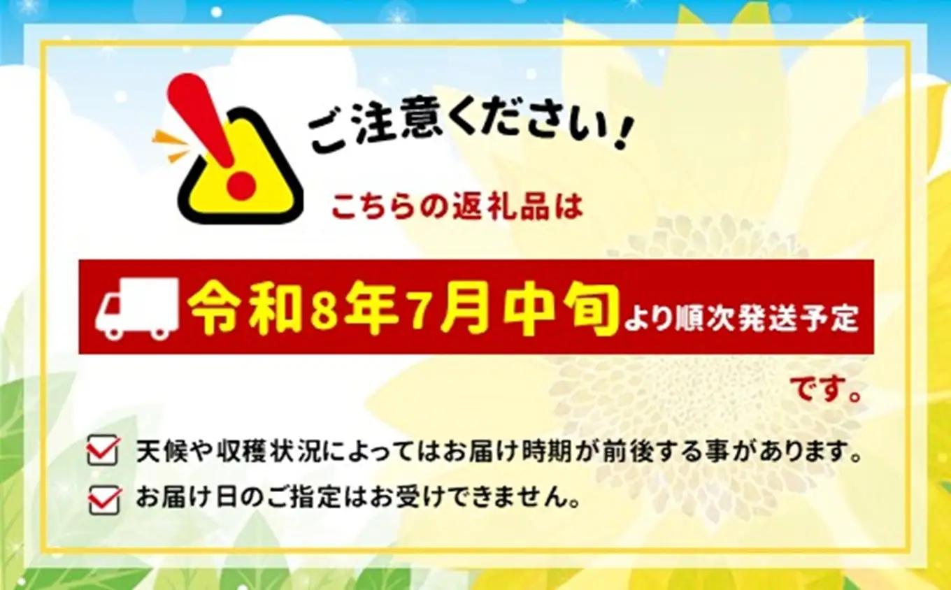 【訳アリ】 八ヶ岳 生とうもろこし はねだし 10本 ( 約3kg )【2026年7月中旬～発送】| ハマラ