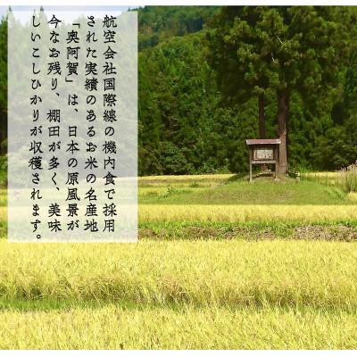 ふるさと納税 阿賀町 【発送月固定定期便】新潟県奥阿賀産こしひかり 精米5kg全3回 |  | 02