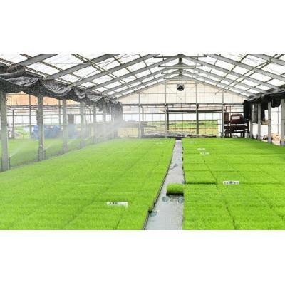 ふるさと納税 美濃加茂市 令和6年産 美濃加茂産のお米 「ハツシモ」  10kg |  | 03