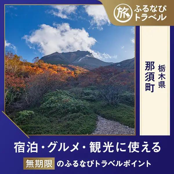 【旅行支援・宿泊無期限】旅行ポイント那須町ふるなびトラベルポイント