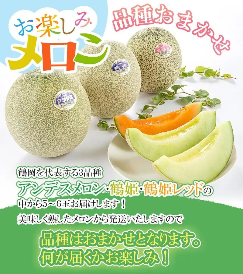 お楽しみメロンセット 3L5玉 または 2L6玉　山形県鶴岡市産 令和9年産 K-960　JA鶴岡