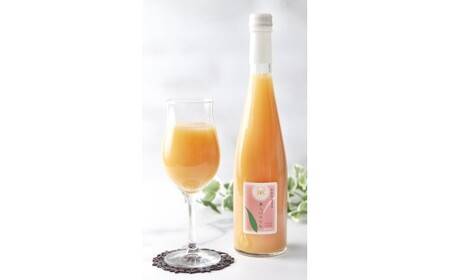 M095　あら川の桃ドリンク５００ｍｌ×２本入りギフト