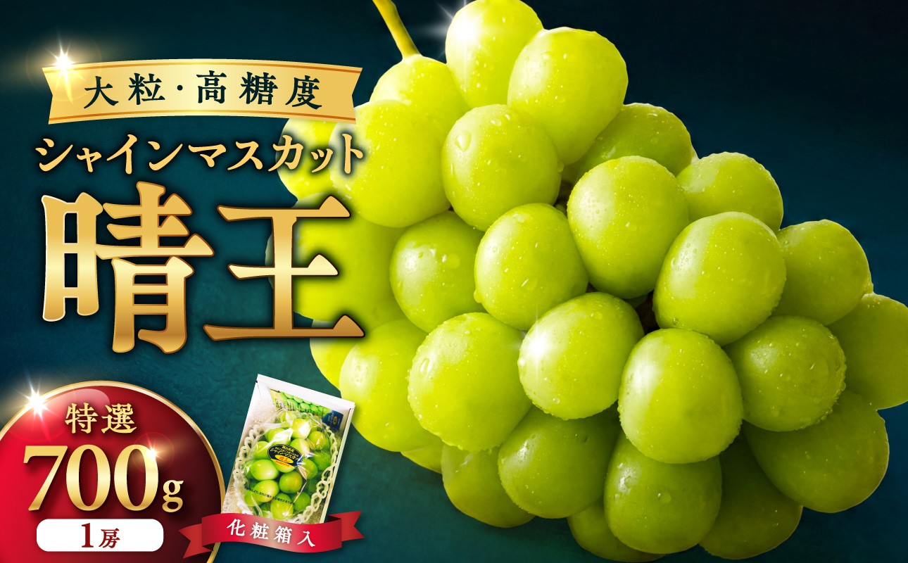 
                  【選べる配送年】岡山県産シャインマスカット「晴王」特選　大房　化粧箱入　1房（約700g）【シャインマスカット シャイン マスカット 晴王 フルーツ 果物 くだもの 葡萄 ぶどう 岡山県産 特選 種無し 高糖度 2026年 2027年 令和8年 令和9年 先行受付 先行予約】
                