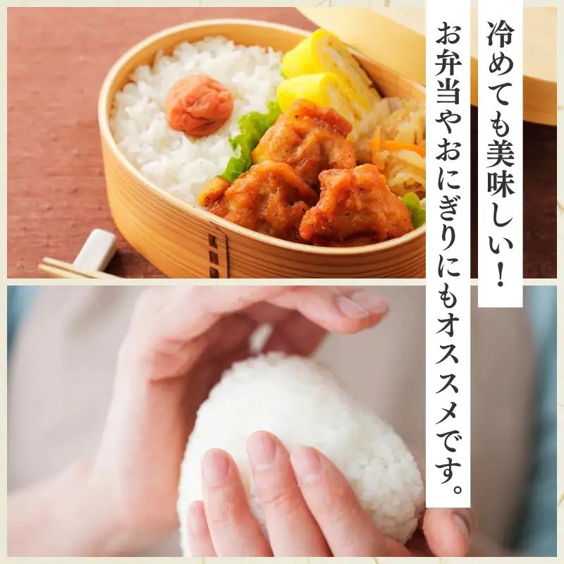 令和7年産 食味鑑定士厳選 新潟県上越柿崎区厳選 こしひかり 無洗米 5kg 6か月定期便 上越市 精米 米 コメ コシヒカリ ブランド米