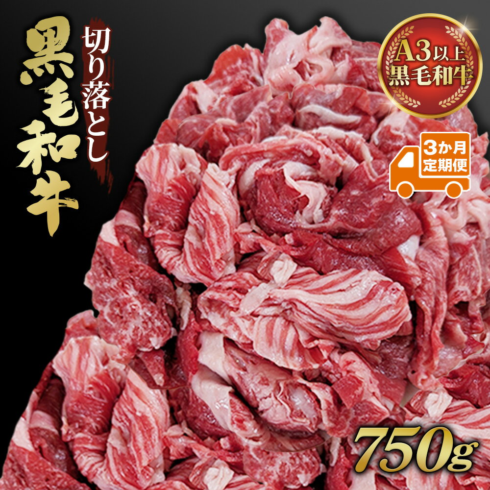 【ふるさと納税】【3か月定期便】黒毛和牛切り落とし250g×3パック ／ 小分け 冷凍 黒毛和牛 切り落とし 牛肉 定期便 3か月 ストック 小分け 夕食 夕飯 晩ご飯 すき焼き 時短 簡単 調理 お弁当 BBQ キャンプ飯 ギフト 贅沢 専門店の味 ボリューム満点 旨み ニイチク No.633