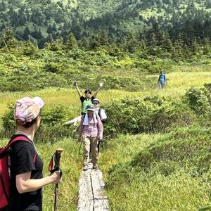 八甲田「毛無パラダイスライン」トレッキング1名様【体験時間:約5時間】【1529761】
